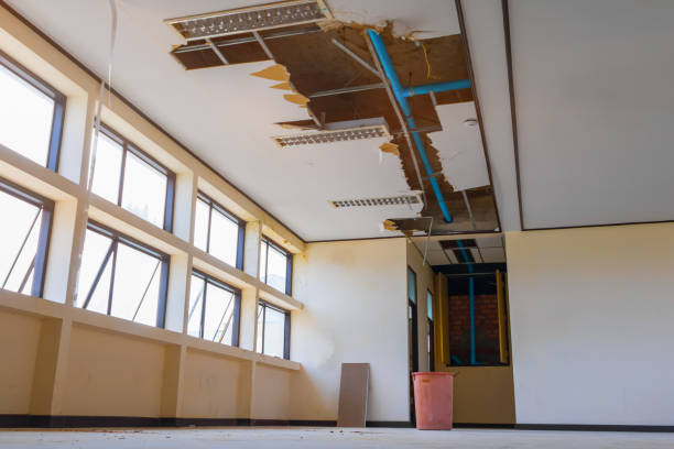 Best 24/7 water damage repair  in Woodbranch, TX