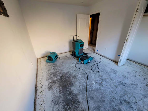 Best Emergency water damage restoration  in Woodbranch, TX