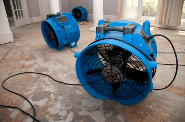Best Carpet water damage restoration  in Woodbranch, TX