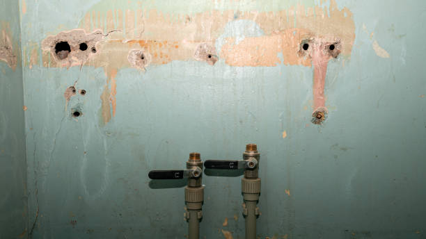 Best 24/7 water damage repair  in Woodbranch, TX