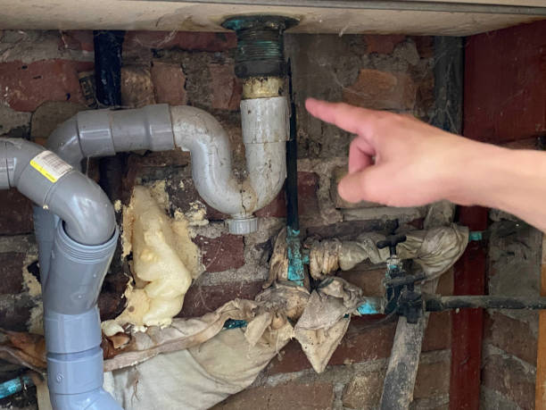 Best Water damage contractors near me  in Woodbranch, TX